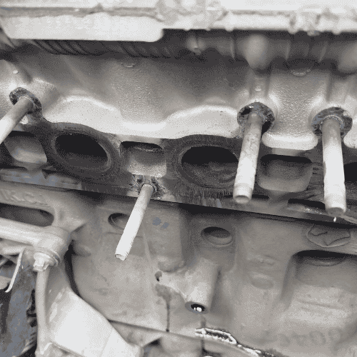 منیفولد اگزوز شاهین