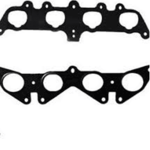 واشر منیفولد دنا