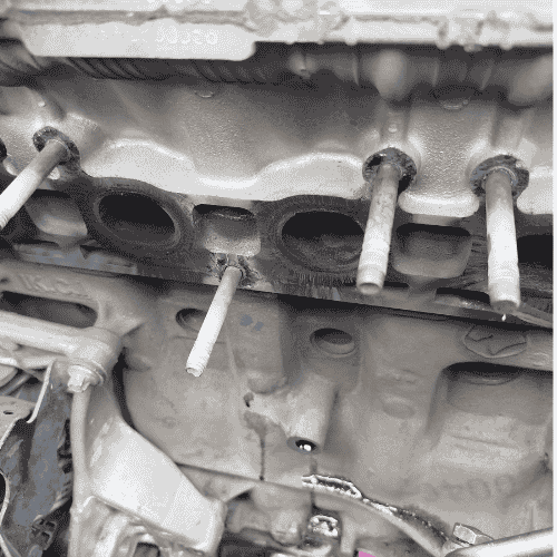 اگزوز شاهین